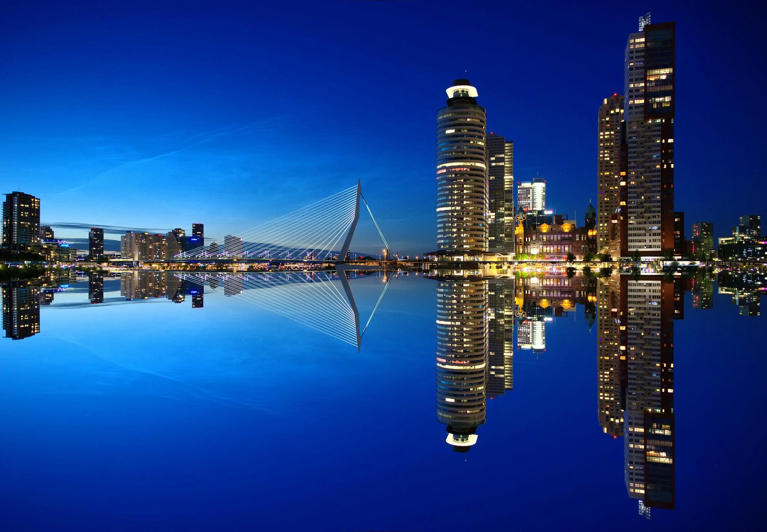 pexels-pixabay-164394